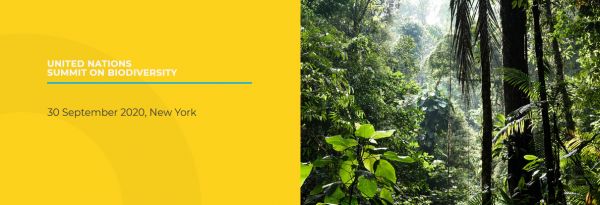 United Nations Summit on Biodiversity