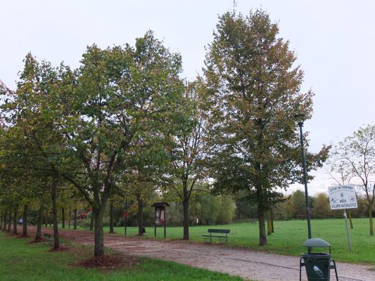 The agricultural park as an interface between city and countryside - Il parco agricolo come interfaccia tra città e campagna