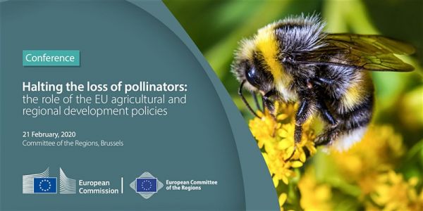 Halting the loss of pollinators: The role of the EU agricultural and regional development policies