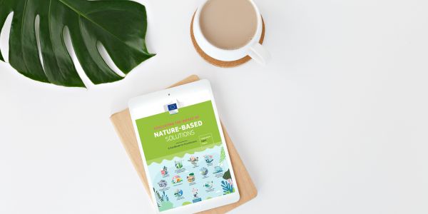 proGIreg evaluates impacts of nature-based solutions in new Handbook