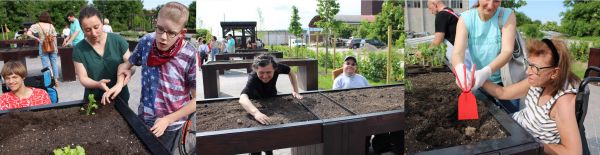 proGIreg therapeutic garden opening held for people with disabilities